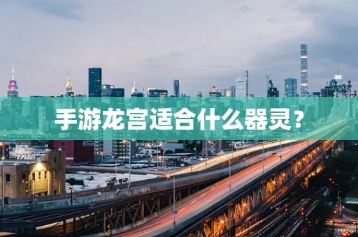手游龙宫适合什么器灵？