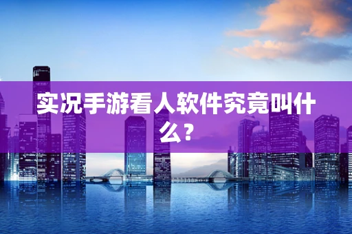 实况手游看人软件究竟叫什么？