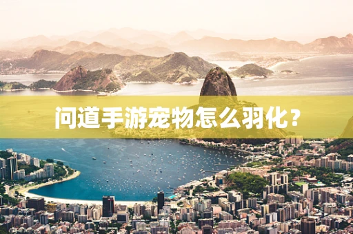 问道手游宠物怎么羽化？