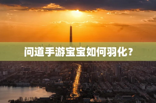 问道手游宝宝如何羽化？