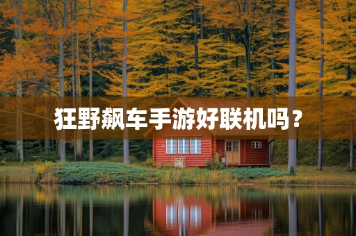 狂野飙车手游好联机吗？