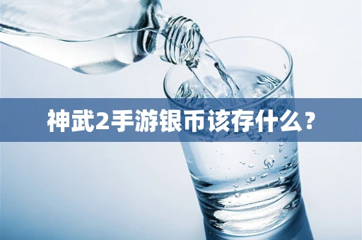 神武2手游银币该存什么？