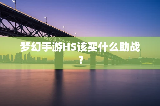 梦幻手游HS该买什么助战？