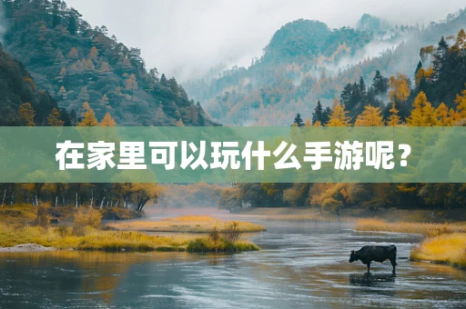 在家里可以玩什么手游呢？