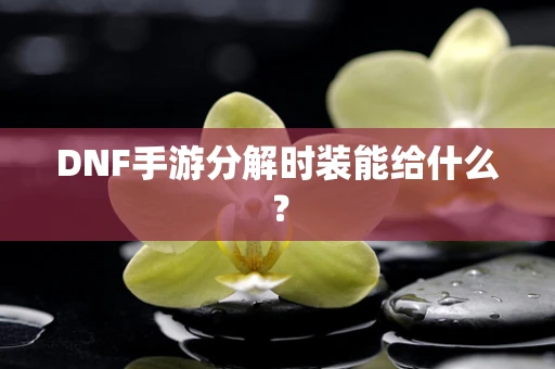 DNF手游分解时装能给什么？