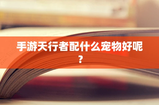 手游天行者配什么宠物好呢？