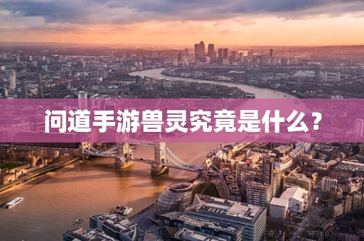 问道手游兽灵究竟是什么？