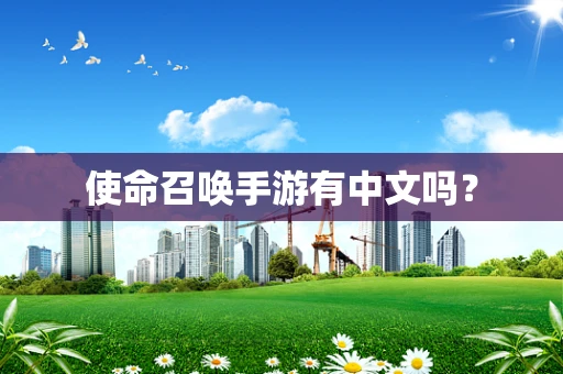 使命召唤手游有中文吗？