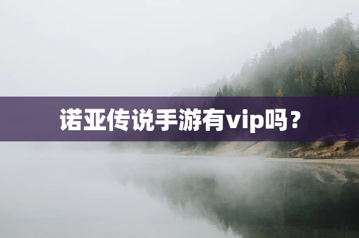 诺亚传说手游有vip吗？