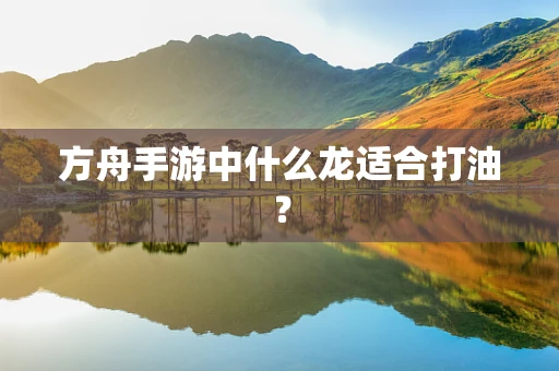 方舟手游中什么龙适合打油？