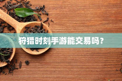 狩猎时刻手游能交易吗？