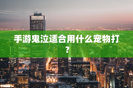 手游鬼泣适合用什么宠物打？