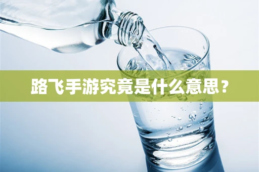 路飞手游究竟是什么意思？