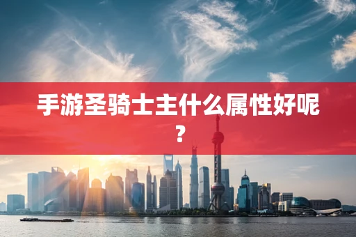 手游圣骑士主什么属性好呢？