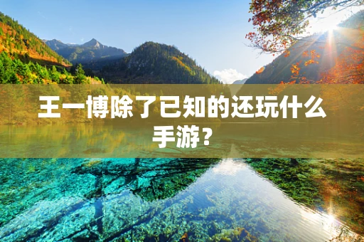 王一博除了已知的还玩什么手游？