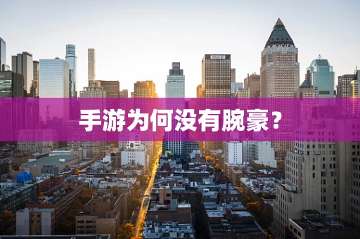 手游为何没有腕豪？