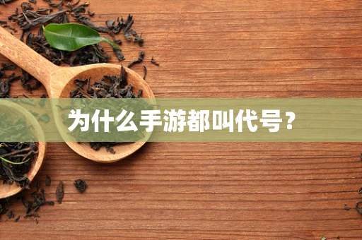 为什么手游都叫代号？