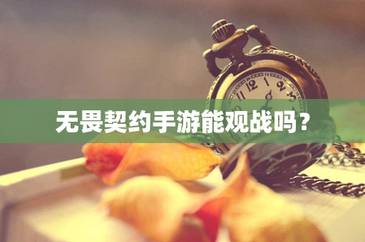 无畏契约手游能观战吗？