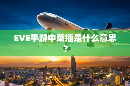 EVE手游中菜插是什么意思？