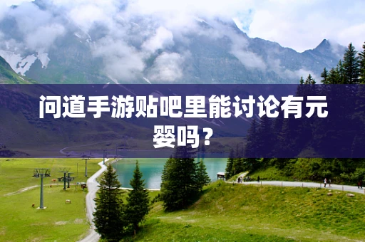 问道手游贴吧里能讨论有元婴吗？