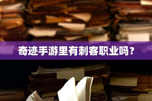 奇迹手游里有刺客职业吗？