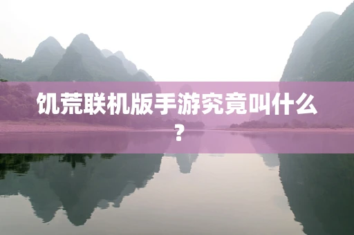 饥荒联机版手游究竟叫什么？