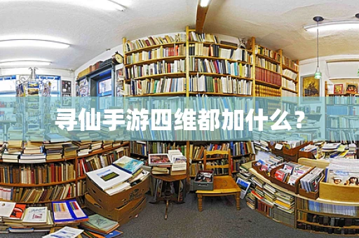 寻仙手游四维都加什么？