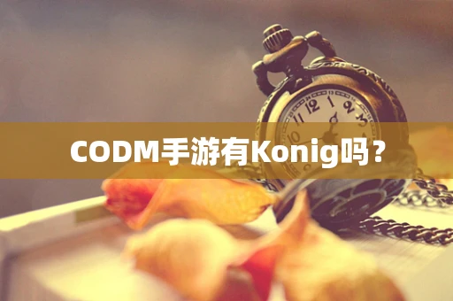 CODM手游有Konig吗？