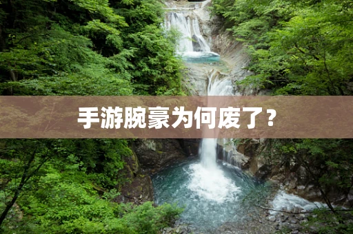 手游腕豪为何废了？