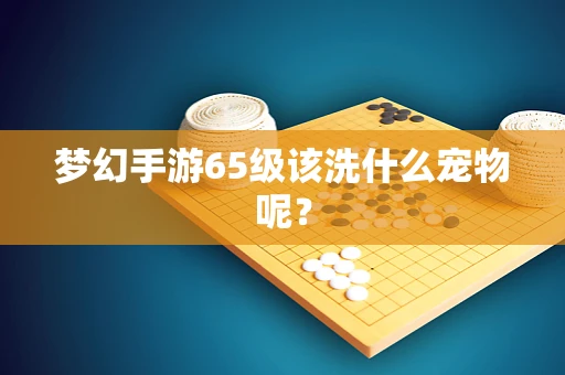 梦幻手游65级该洗什么宠物呢？