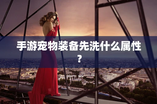 手游宠物装备先洗什么属性？