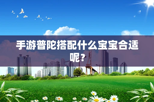 手游普陀搭配什么宝宝合适呢？