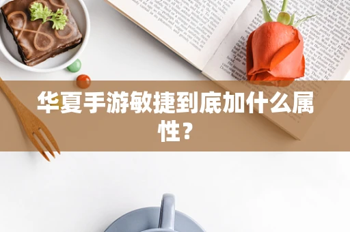 华夏手游敏捷到底加什么属性？