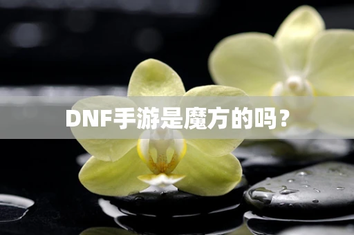 DNF手游是魔方的吗？