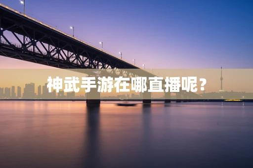 神武手游在哪直播呢？
