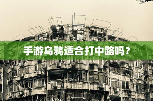 手游乌鸦适合打中路吗？