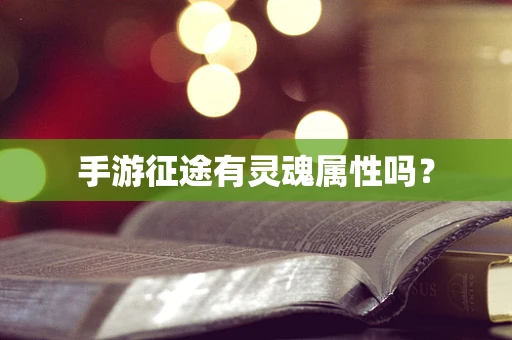 手游征途有灵魂属性吗？