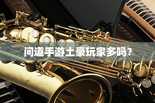 问道手游土豪玩家多吗？