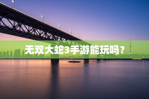 无双大蛇3手游能玩吗？