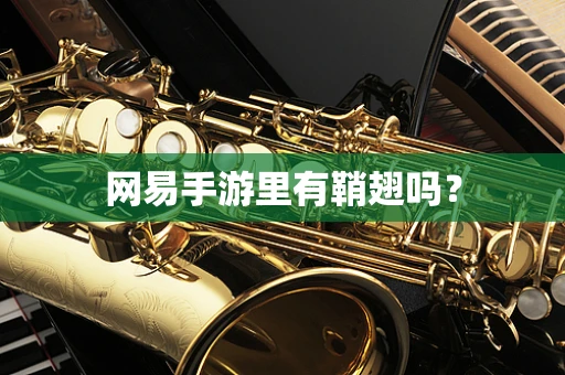 网易手游里有鞘翅吗？