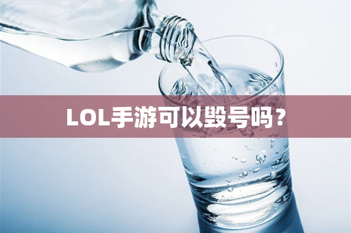 LOL手游可以毁号吗？