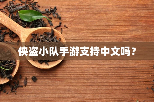 侠盗小队手游支持中文吗？