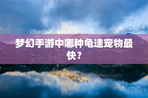 梦幻手游中哪种龟速宠物最快？