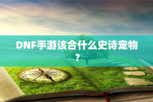 DNF手游该合什么史诗宠物？