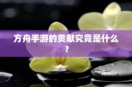 方舟手游的贡献究竟是什么？