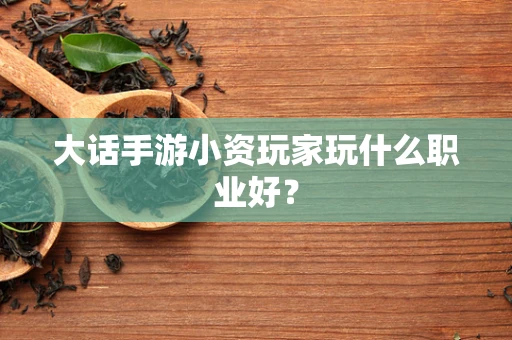 大话手游小资玩家玩什么职业好？
