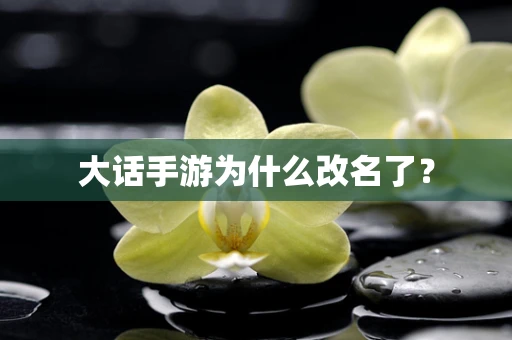 大话手游为什么改名了？