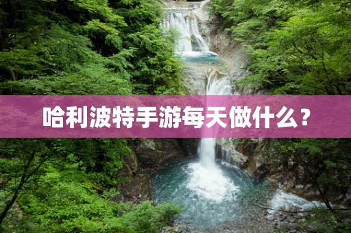 哈利波特手游每天做什么？