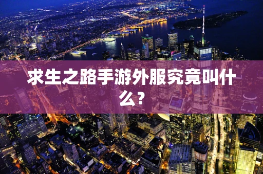求生之路手游外服究竟叫什么？