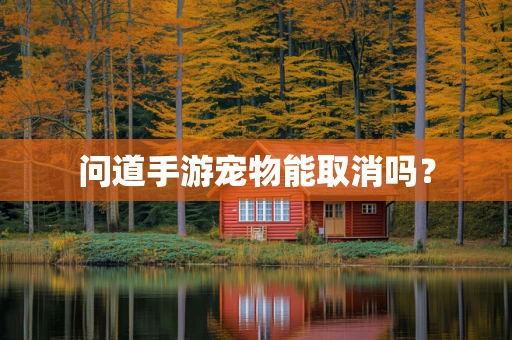 问道手游宠物能取消吗？